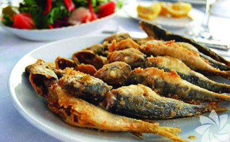 İrem Balıkçılık